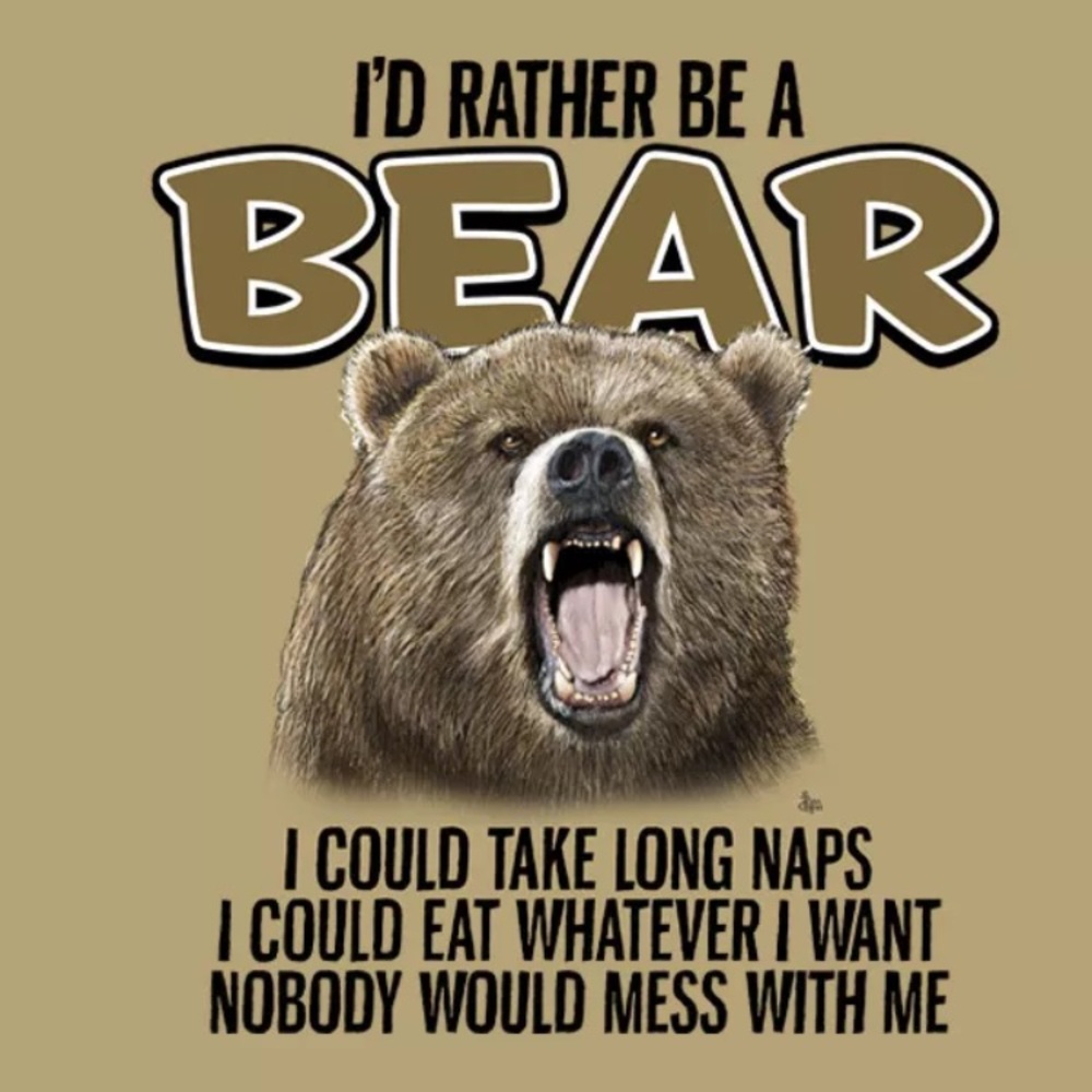 T-shirt I’d Rather Be A Bear Unisex Sizes